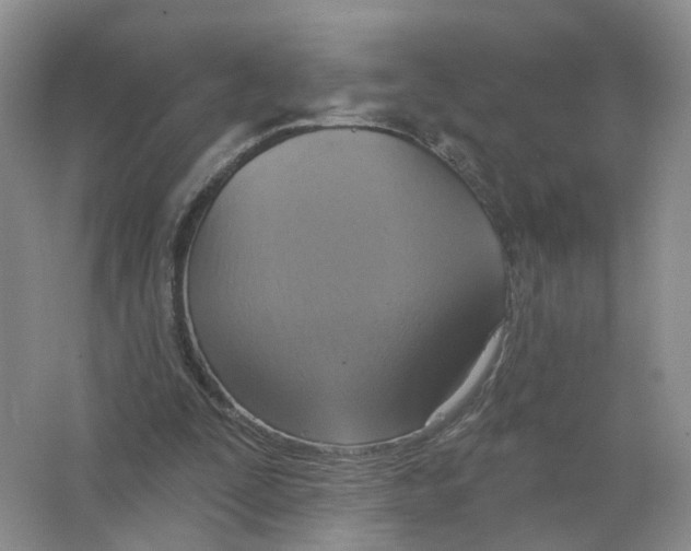 X0000063510295200602172154