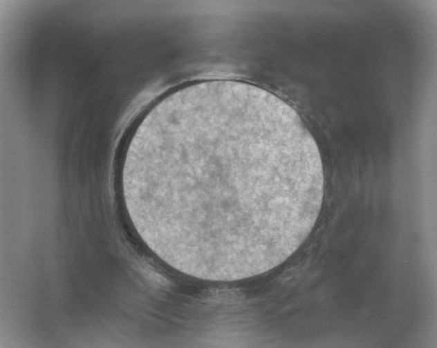 X0000063510296200602172154