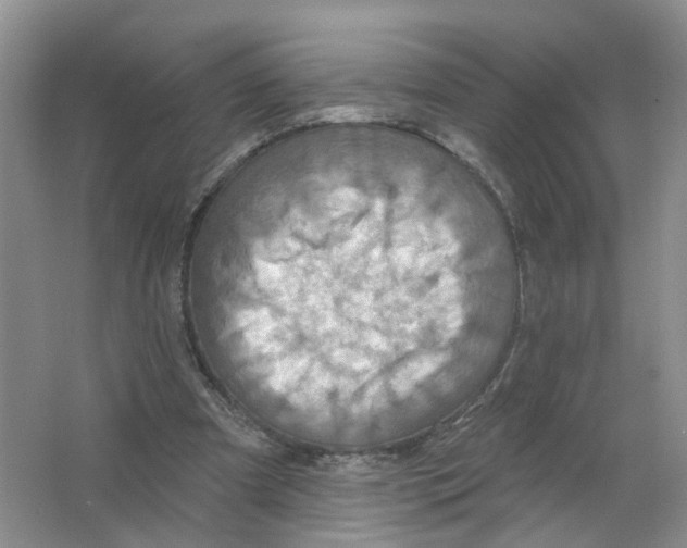 X0000063510297200602172154