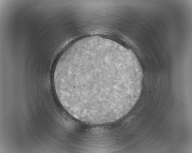 X0000063510298200602172154