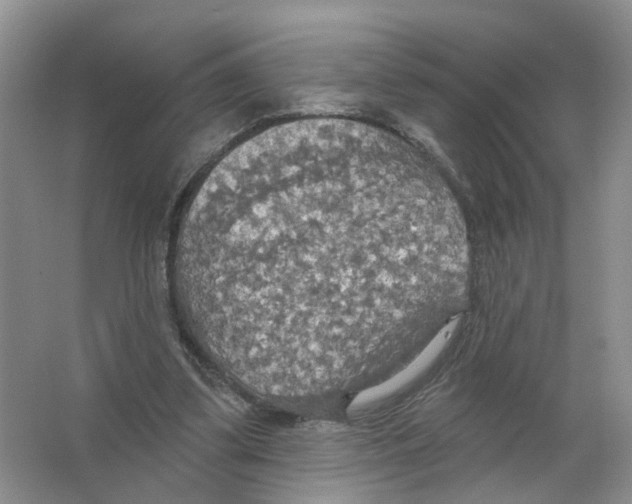 X0000063510299200602172154