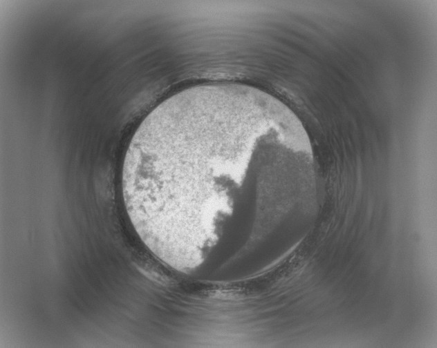 X0000063510303200602172154