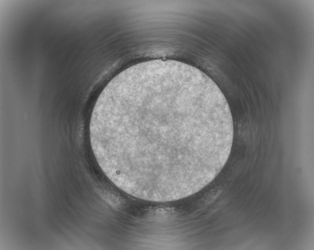 X0000063510304200602172154