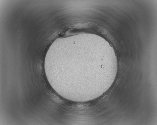 X0000063510305200602172154