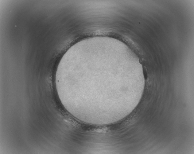 X0000063510306200602172154