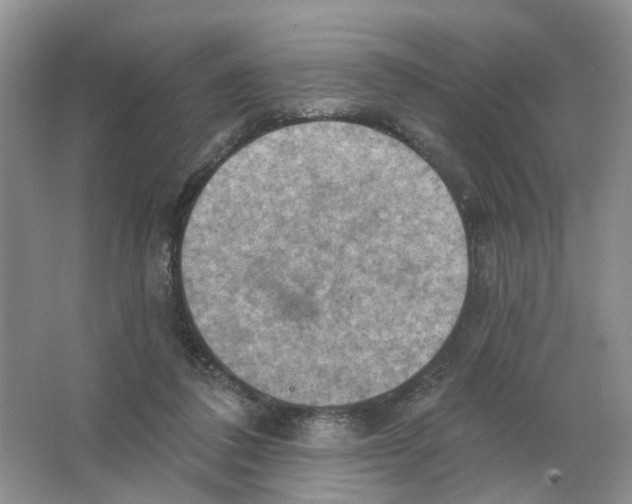 X0000063510308200602172154