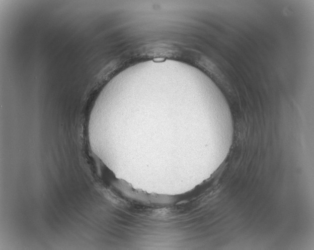 X0000063510309200602172154