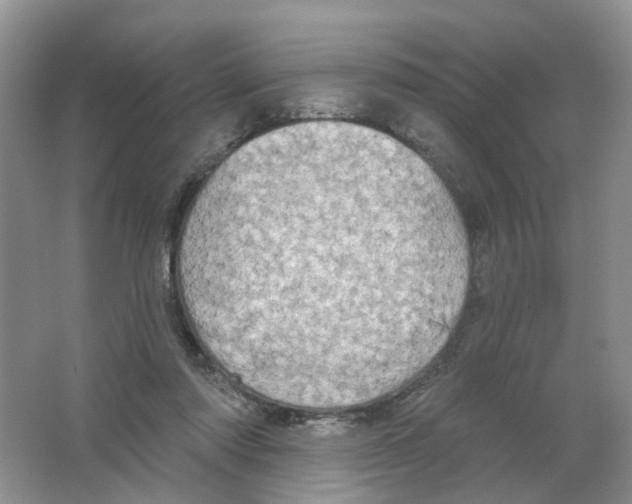 X0000063510310200602172154