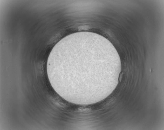 X0000063510311200602172154