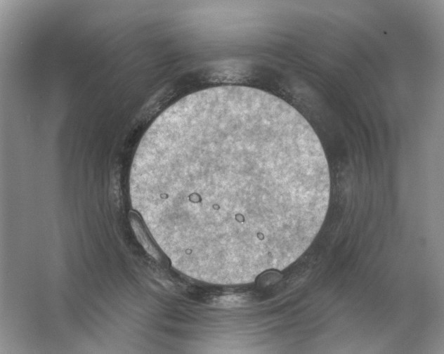 X0000063510312200602172153