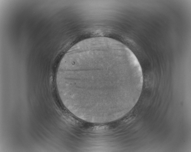 X0000063510314200602172153