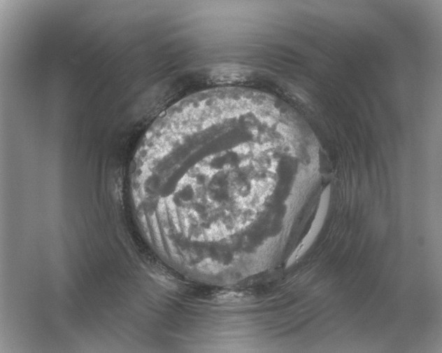 X0000063510315200602172153