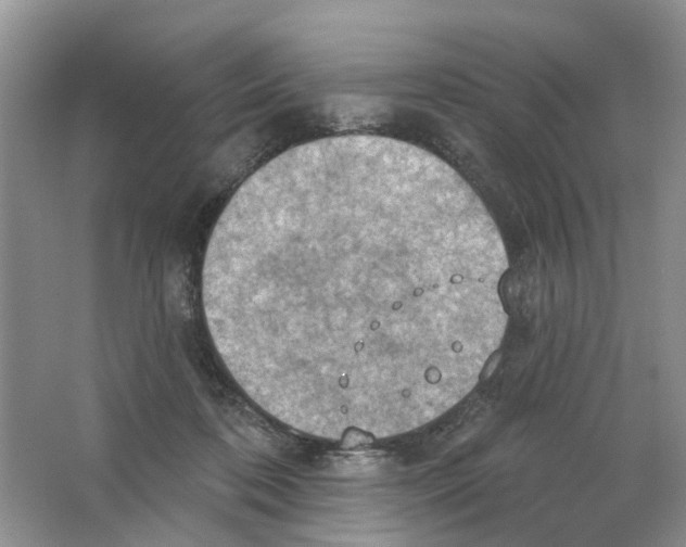 X0000063510316200602172153