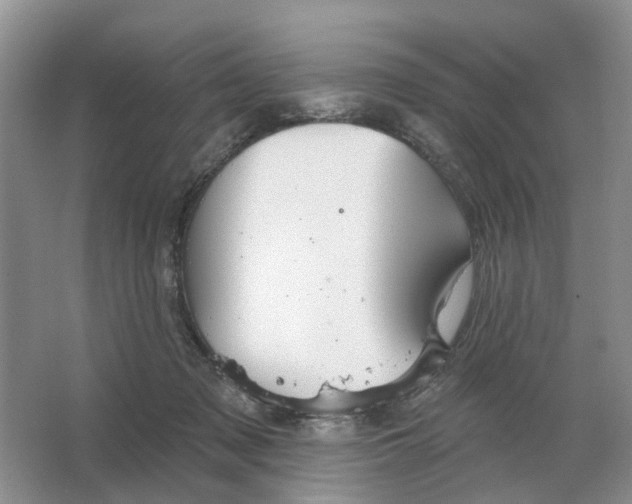 X0000063510317200602172153