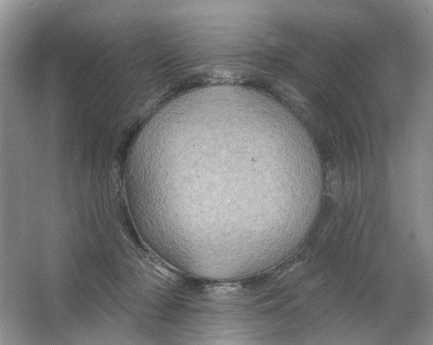 X0000063510318200602172153