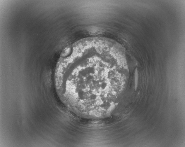 X0000063510319200602172153