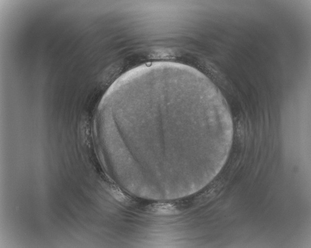 X0000063510322200602172153