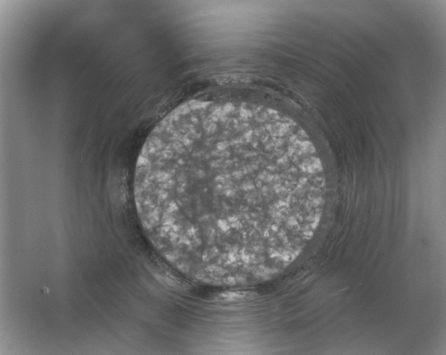 X0000063510323200602172153