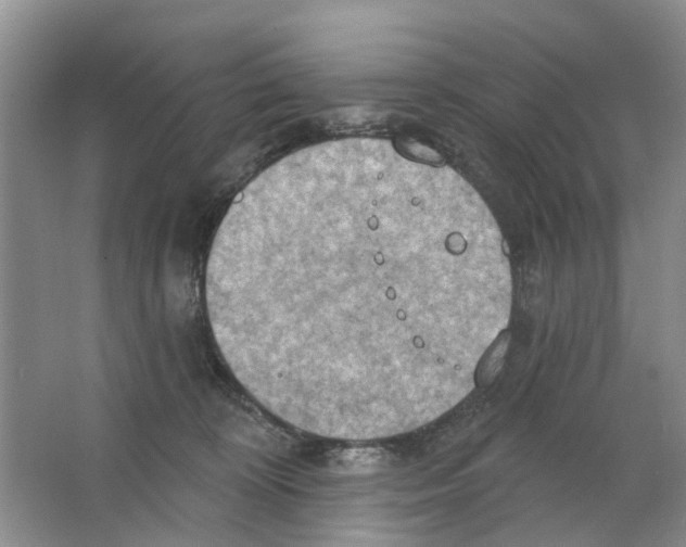 X0000063510324200602172153