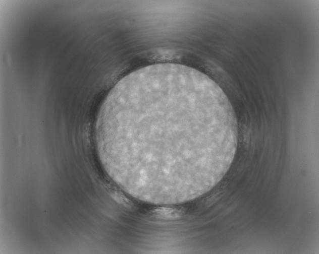 X0000063510326200602172153