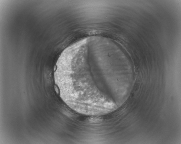 X0000063510327200602172153