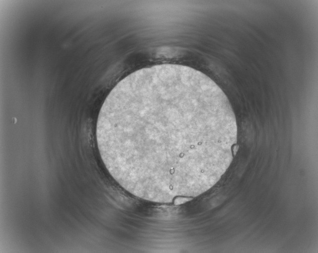 X0000063510328200602172153