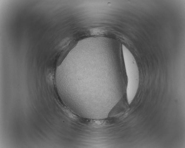 X0000063510329200602172153