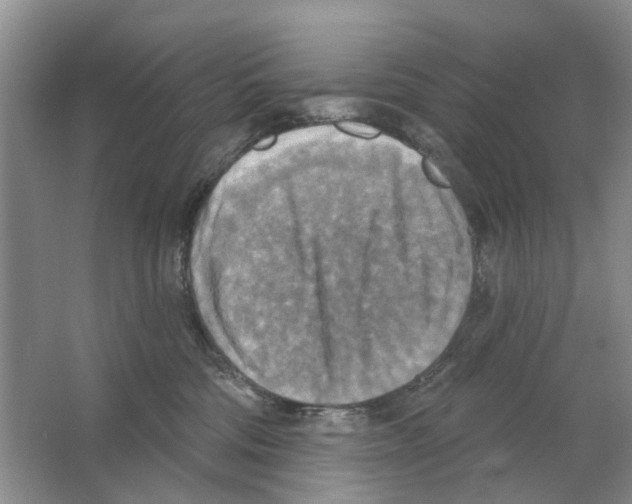 X0000063510330200602172153