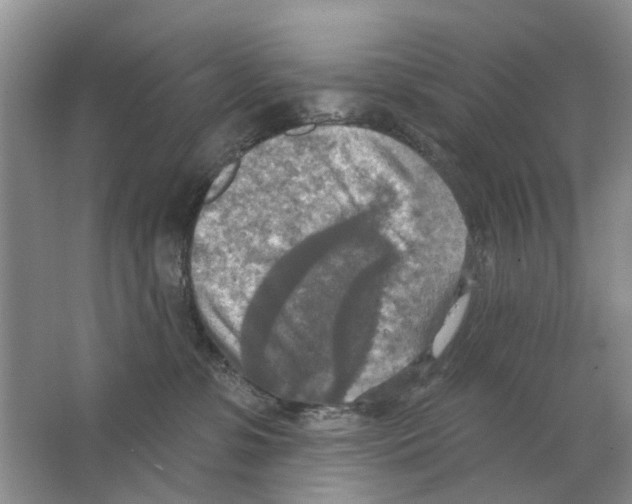 X0000063510331200602172153