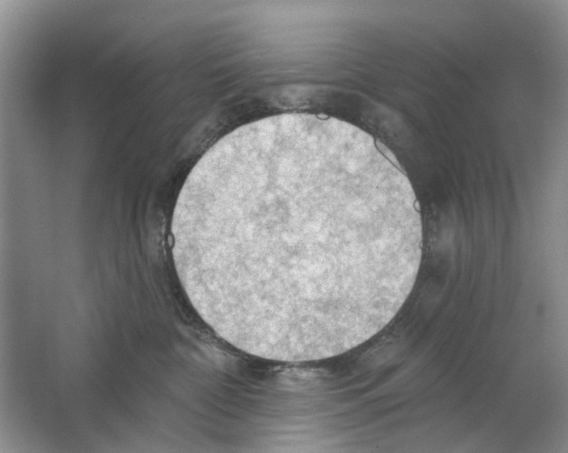 X0000063510332200602172153