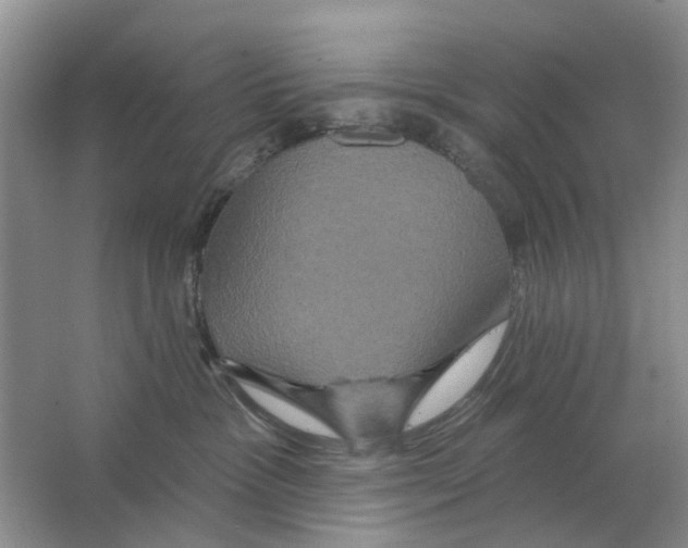 X0000063510333200602172153