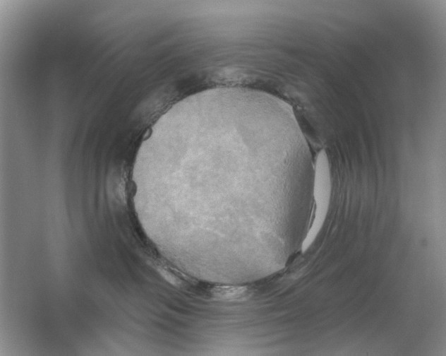 X0000063510334200602172153