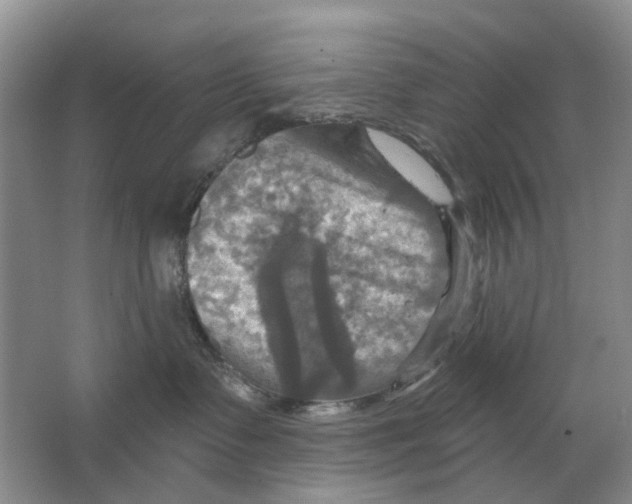 X0000063510335200602172153