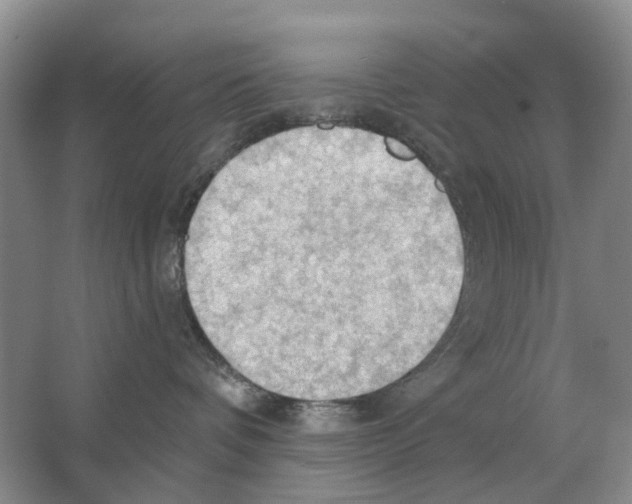 X0000063510336200602172153