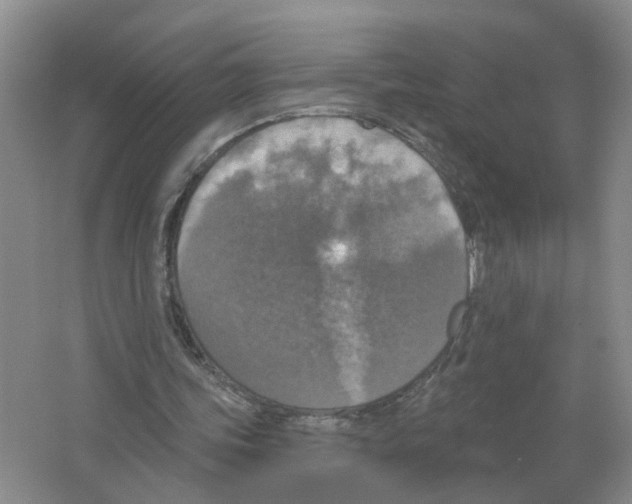 X0000063510339200602172152