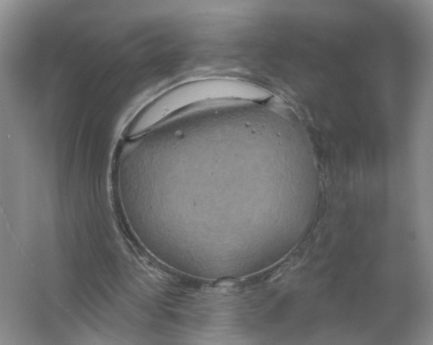 X0000063510340200602172152