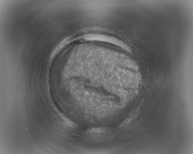 X0000063510341200602172152