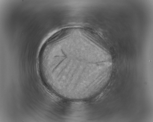 X0000063510342200602172152