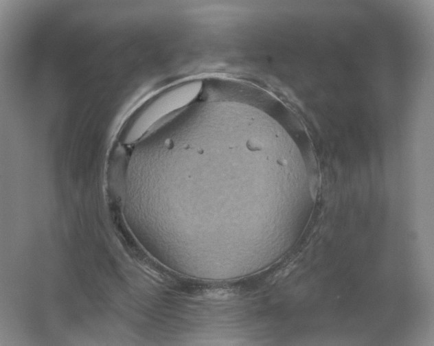 X0000063510344200602172152