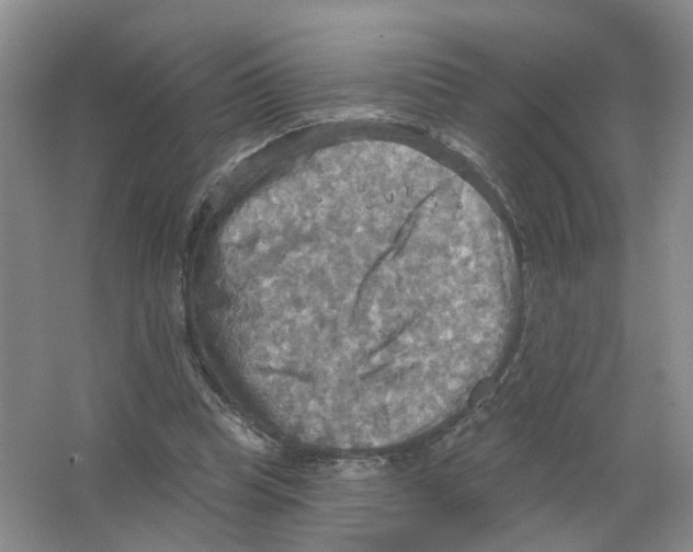 X0000063510345200602172152