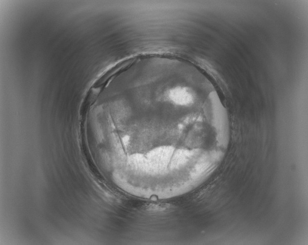 X0000063510346200602172152