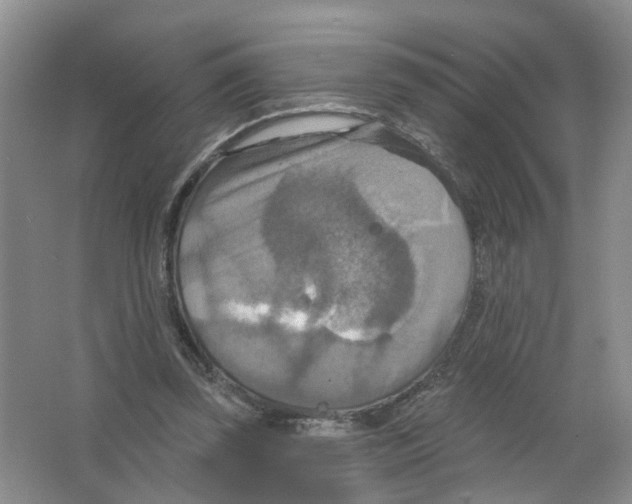 X0000063510347200602172152