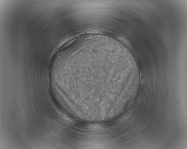 X0000063510349200602172152