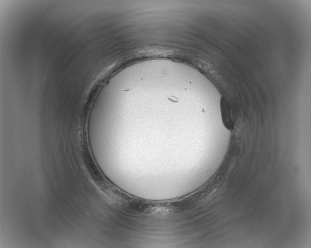 X0000063510352200602172152