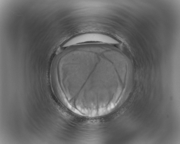 X0000063510353200602172152