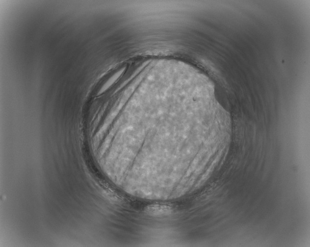 X0000063510354200602172153