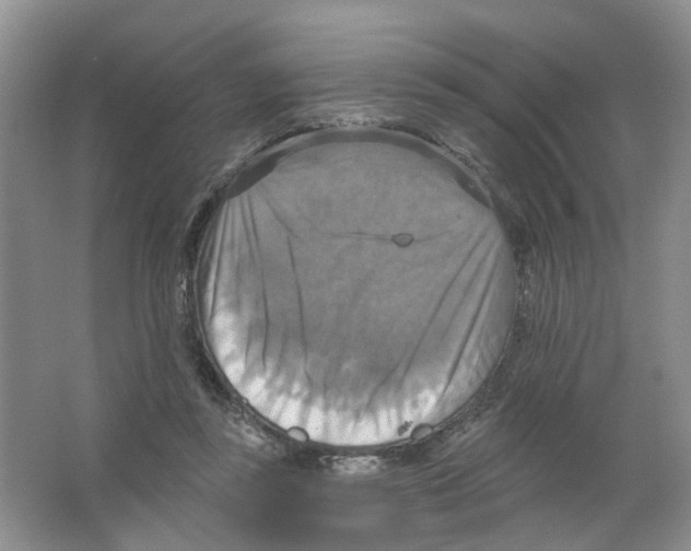 X0000063510355200602172153