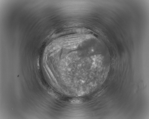 X0000063510358200602172153