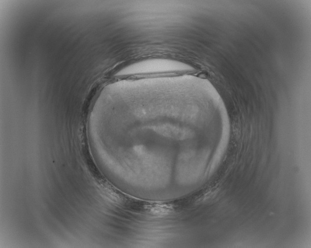 X0000063510359200602172153