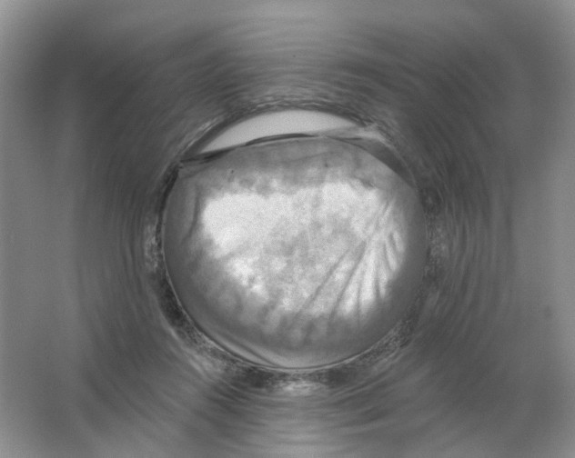 X0000063510360200602172153